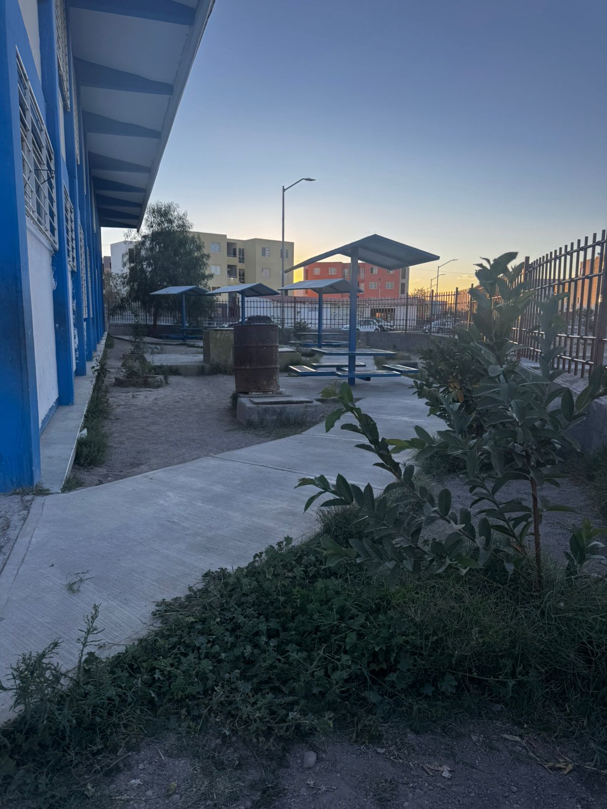 Galería Río Dorado 22
